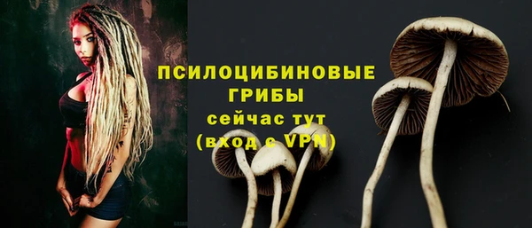 a pvp Белокуриха