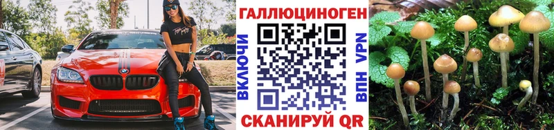 Псилоцибиновые грибы MAGIC MUSHROOMS  купить наркоту  Верхняя Пышма 